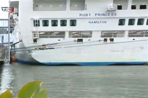 princess cruise ship crashes into dock